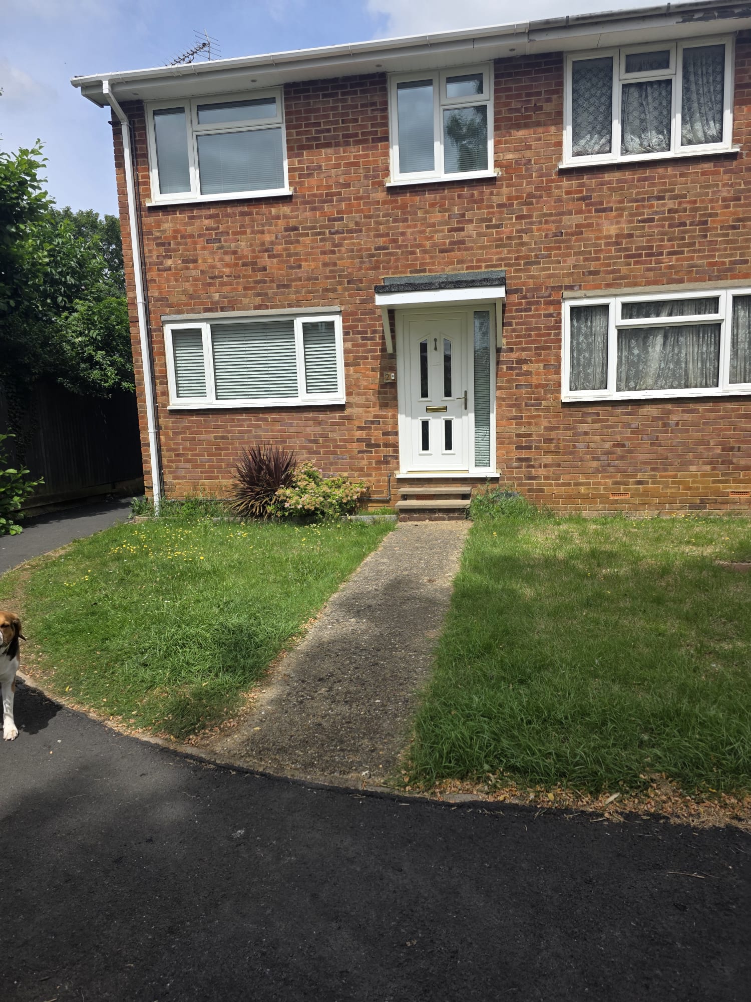 Front garden and path before landscaping work